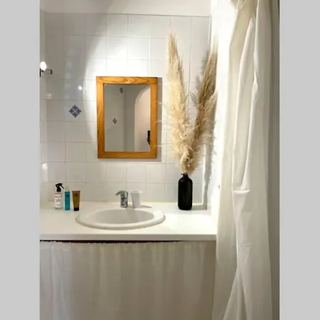 Appartement Avec Jardin -Alentours Ajaccio Centre Alata Exterior photo